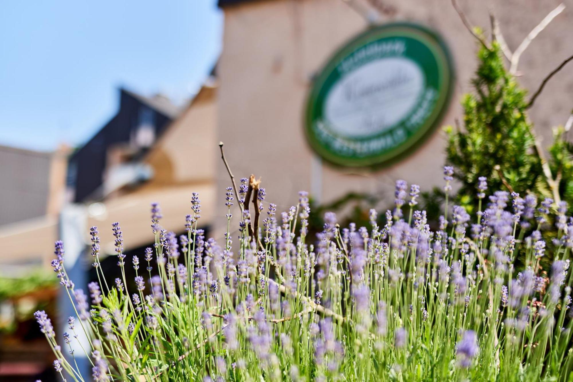 Hotelpark Der Westerwald Treff Oberlahr Bagian luar foto